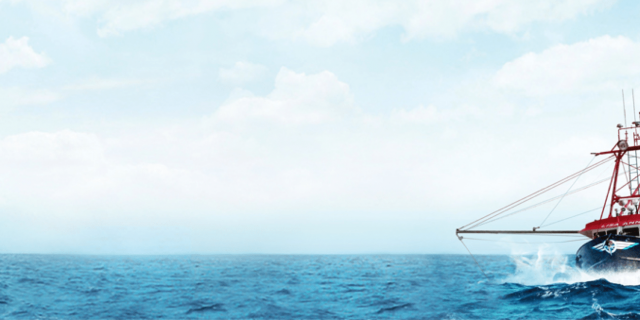 Oceanfleet - qpsoftware- ecommerce