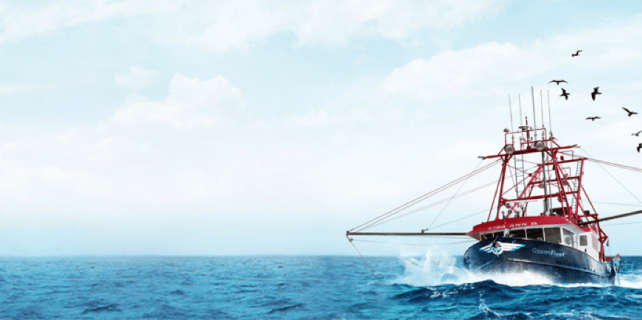 Oceanfleet - qpsoftware- ecommerce Oceanfleet - qpsoftware- ecommerce